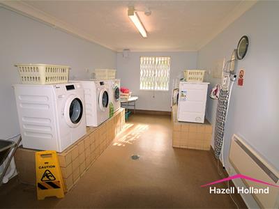 Picture 15